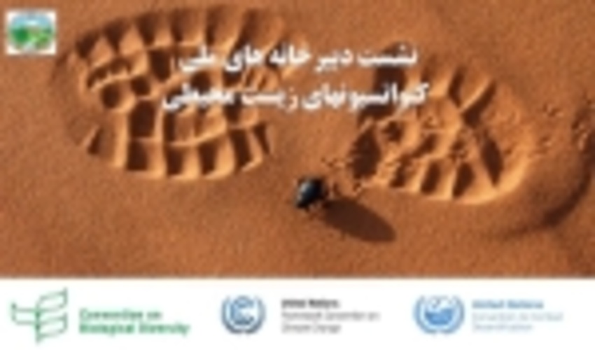 نخستین نشست هماهنگی  دبیر خانه های ملی کنوانسیون های زیست محیطی  در دفتر امور بیابان