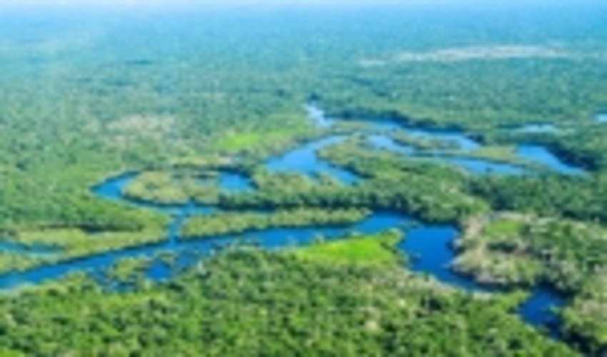 Management of world’s forests must be water-centred