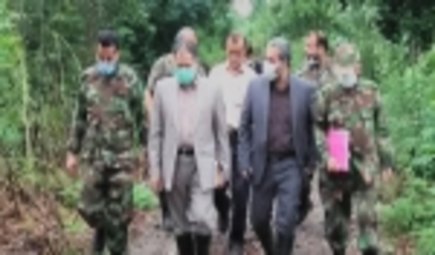 گیلان / برخورد قاطع دستگاه قضا با سودجویان جنگل فتاتو خمام