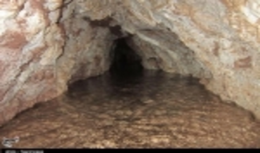 لزوم تشکیل ستاد ملی احیای قنوات کشور با محوریت وزارت جهاد کشاورزی