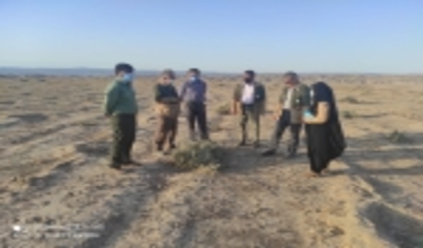 گلستان/بازدید مدیرکل از پروژه های آبخیزداری شهرستان مراوه تپه