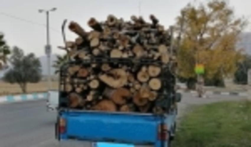 فارس/ کشف و ضبط محموله قاچاق چوبهای جنگلی در شهرستان فیروزآباد