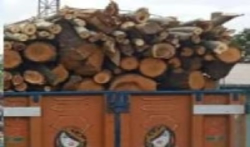 کشف 4 تن چوب آلات غیر مجاز جنگلی در استان اردبیل