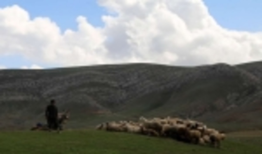 خراسان شمالی/طرح مرتعداری در سطح 6 هزار و ۶۰۶ هکتار از مراتع شیروان تهیه شد