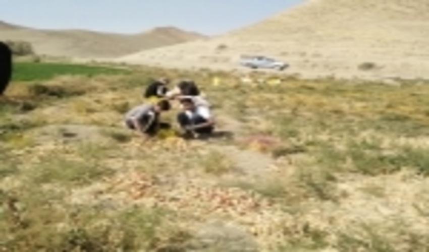 خراسان رضوی/طعم شیرین روستای کرناوه شهرستان کلات با عملکرد مثبت سد زیر زمینی 