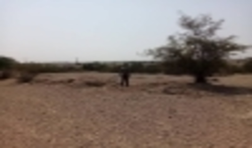 هرمزگان/گشت زنی و حفاظت از اراضی ملی و طبیعی درمنطقه دشت امام شهرستان بندرعباس       