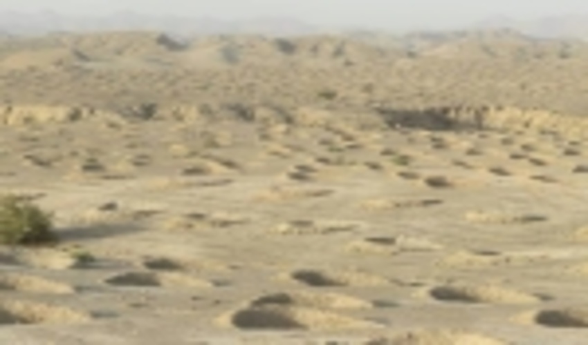 ایلام/کاشت ۲۱ هزار اصله نهال در عرصه های بیابانی آبدانان