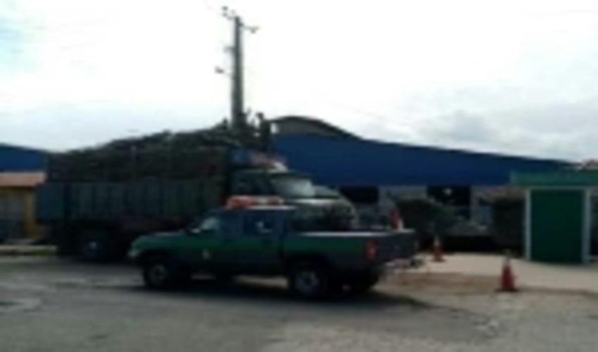 کشف چوب آلات قاچاق در شهرستان فومن