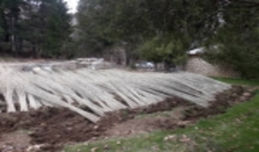 زراعت چوب در ۲۰۰ هکتار از اراضی کهگیلویه و بویراحمد انجام می‌شود