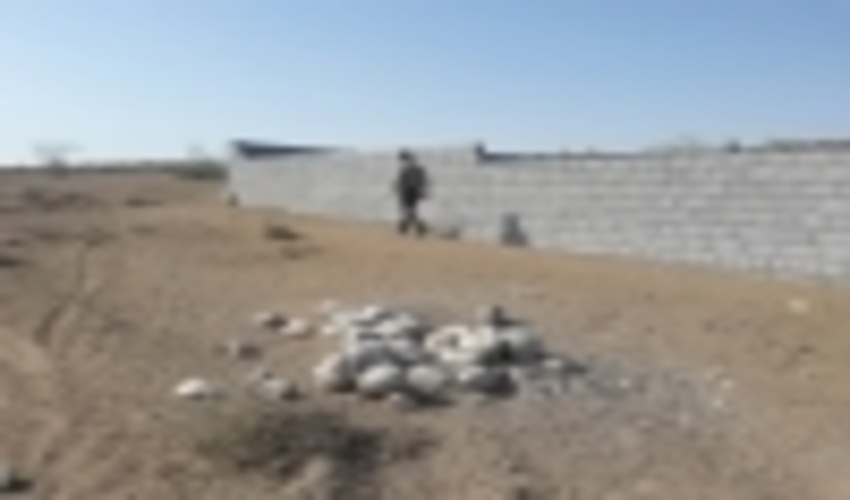 هرمزگان/گشت زنی و حفاظت از اراضی ملی و طبیعی درمنطقه گودو از توابع بخش تخت شهرستان بندرعباس