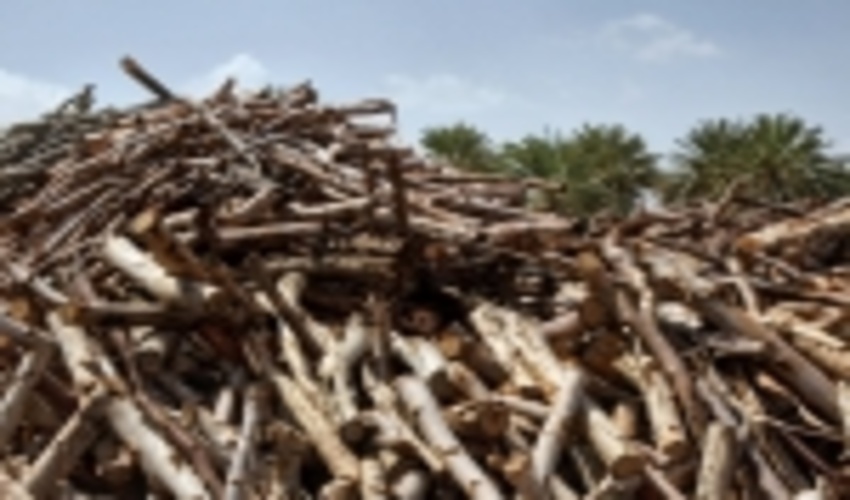 اقدامات حفاظتی منابع طبیعی گیلان ضربتی شد