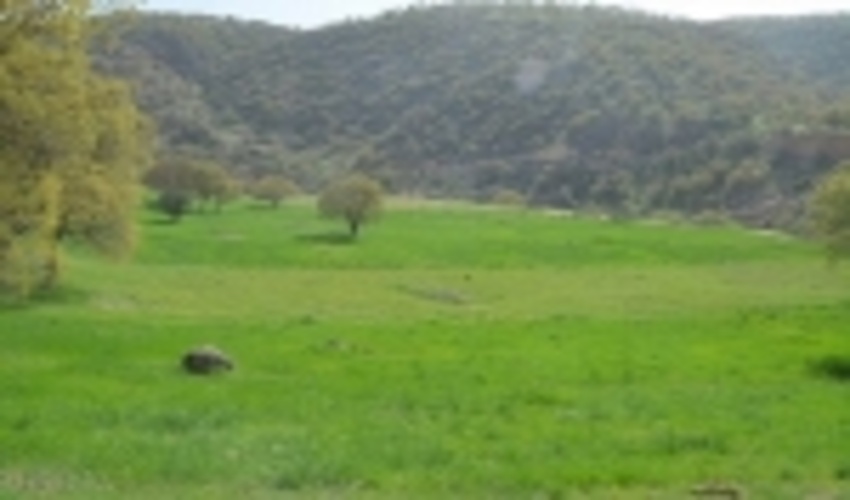 گیلان/خلع ید یک هکتاری در منابع طبیعی فومن