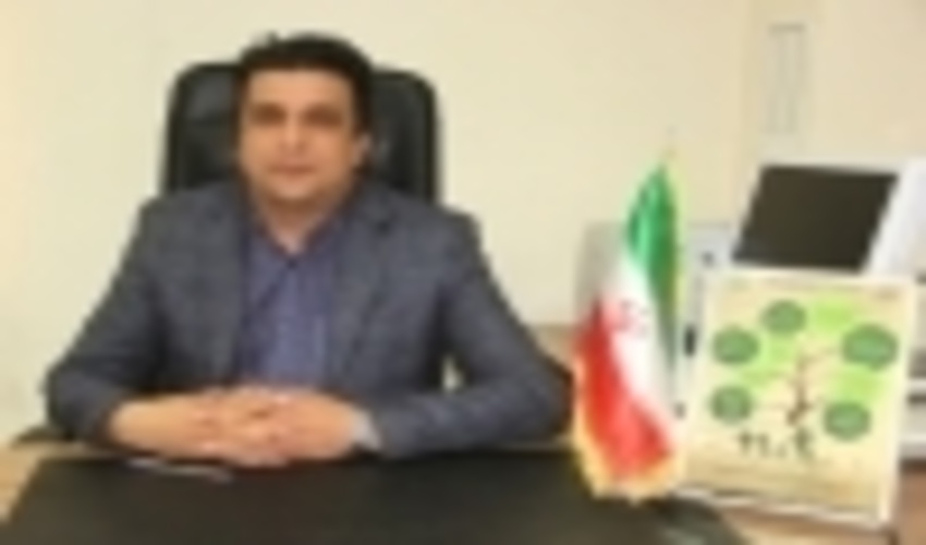 شهرستان رودبارجنوب پایلوت اجرای طرح بادشکن بیولوژیک اطراف مزارع