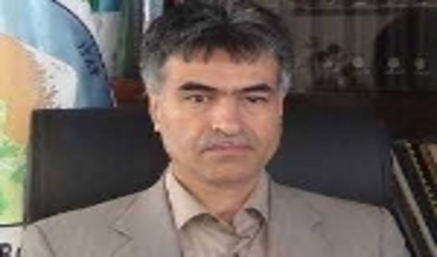 مدیرکل دفتر کنترل سیلاب سازمان جنگل ها: توسعه طرح های آبخیزداری خسارات سیلاب ها را کاهش می دهد