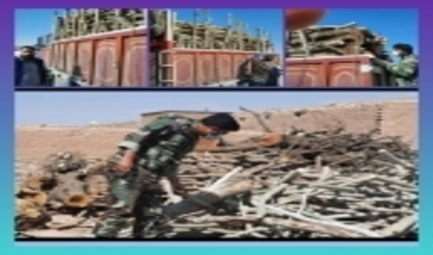 قوچان گلوگاه خروج چوب از خراسان رضوی