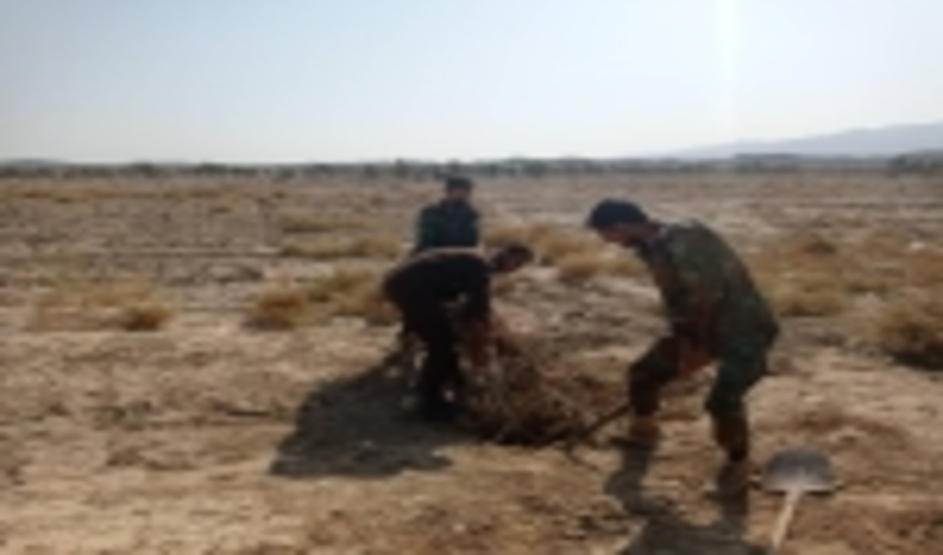 جنوب کرمان/رفع تصرف ۵۸ هزار و ۷۴۶ مترمربع از اراضی ملی شهرستان جیرفت