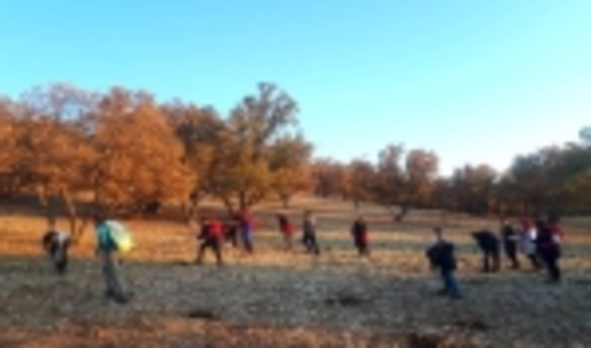 احیای ۱۰ هکتار از جنگل‌های شهرستان بویراحمد با مشارکت گروه کوهنوردی «چهارفصل»