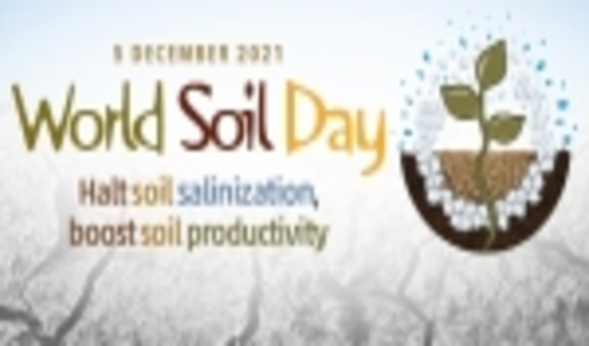 World Soil Day (WSD) is Held to Focus Attention on the Importance of Healthy Soil 