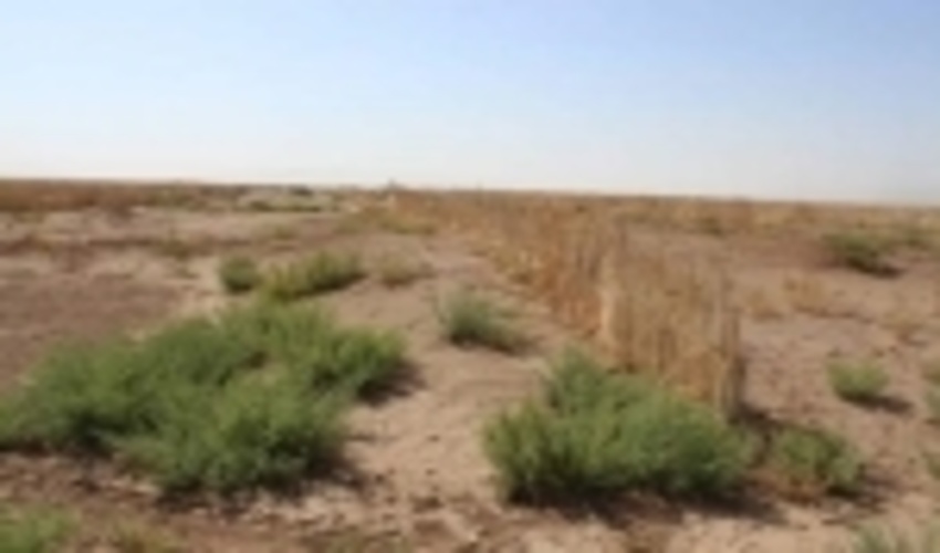 ۴۰ کیلومتر بادشکن در برابر شن‌های روان کویر شهرستان گرمسار ایجاد شد