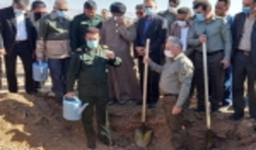 ایلام/ سه میلیون اصله نهال در طرح پویش “ملی ایران سبز” در ایلام کاشت می شود