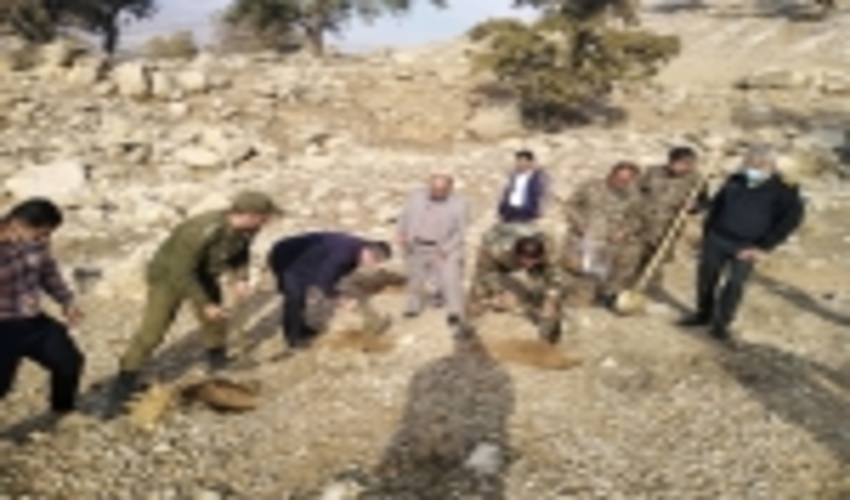 کهگیلویه/ بذرکاری در ۴۰ هکتار از عرصه‌های منابع طبیعی باشت آغاز شد