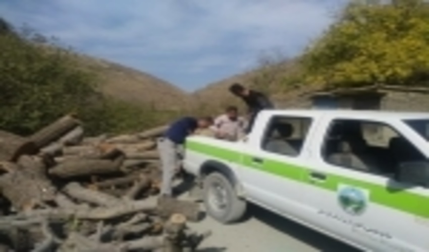 کشف 521 مترمکعب چوب قاچاق در کردستان /مشارکت دوستداران طبیعت در پویش مردمی بذرکاری جنگل ها