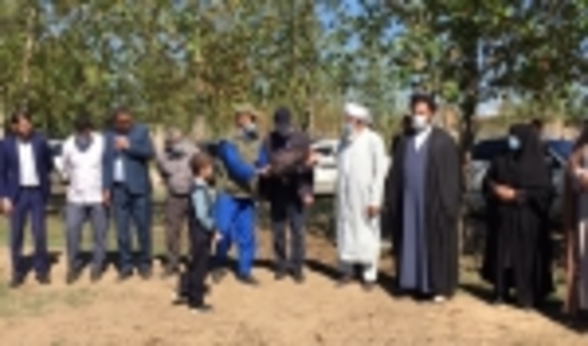 گلستان/ زیتونلی؛ همیار طبیعتی که هزاران نهال غرس کرد 