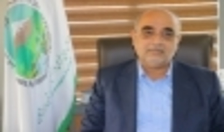 کشت و توسعه حرا در هرمزگان؛ مانگروها نگینی سبز برگردن خلیج فارس 