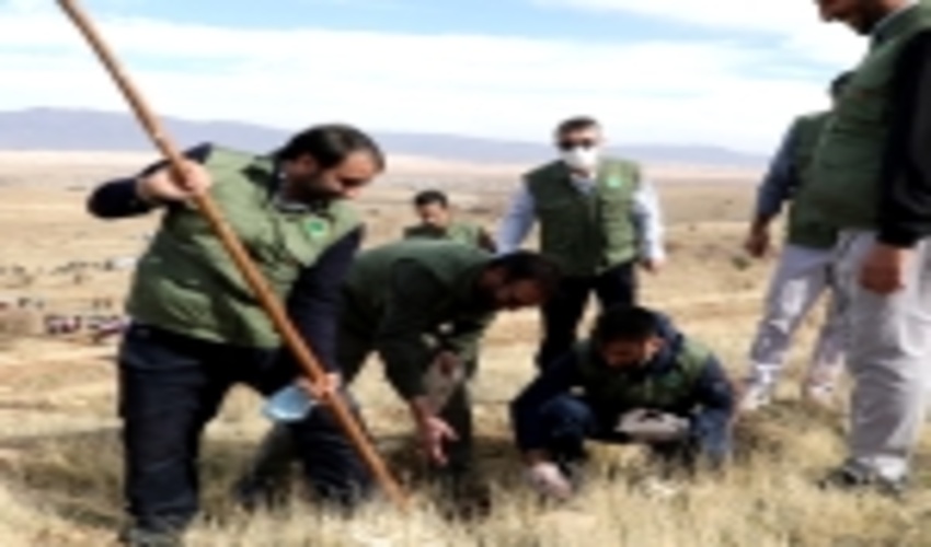 گزارش تصویری/ آغاز پویش مردمی بذرکاری برای احیای جنگل های زاگرس