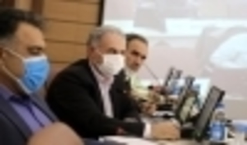 اختصاص ۴ هزار هکتار اراضی کشاورزی ایلام به طرح زراعت چوب