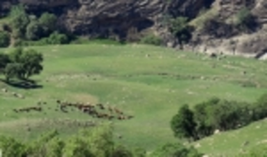  اسناد منابع ملی استان کرمانشاه کاداستر می‌شود