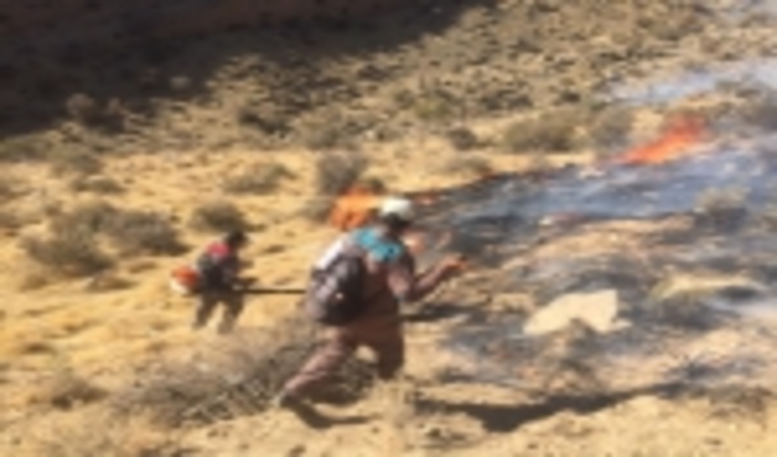 فارس / عامل آتش سوزی مراتع اقلید به 42 ماه حبس محکوم شد