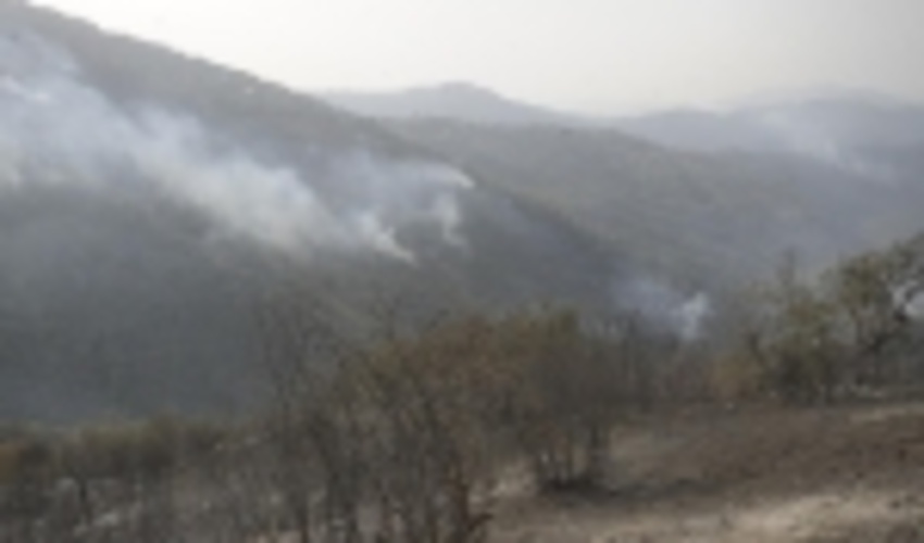 نصب 3 دوربین رصد و پایش حریق در گلستان/ 25 دوربین نیاز است