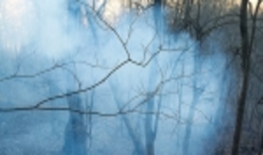 مهار کامل حریق در غرب مازندران