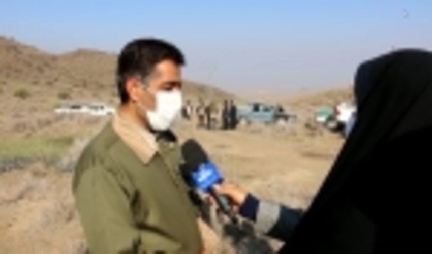 اجرای 200 هکتار عملیات نهال‌کاری با هزینه خیرین در قم