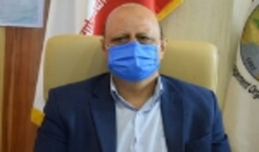 بسیج کرمانشاهیان برای نجات زاگرس/ 350 هزار اصله نهال در استان کاشته می‌شود