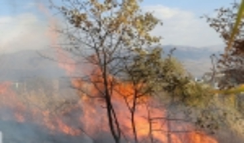 امسال سطح حریق عرصه‌های منابع طبیعی کشور ۴۶ درصد کاهش یافت