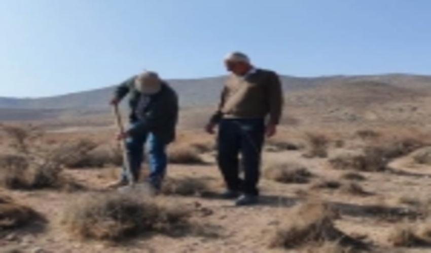 فارس/ آغاز عملیات احیا بیولوژیکی در مراتع سپیدان