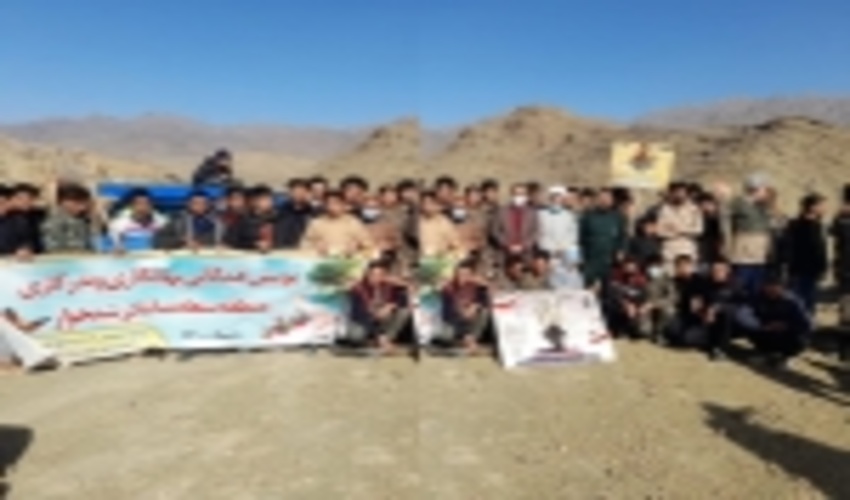 خراسان رضوی/نهالکاری و بذرکاری در ارتفاعات صعب العبور رشتخوار اجرا شد