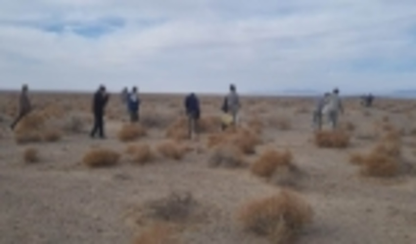 سمنان/یک هزار نهال به نام شهدا با پویش مردمی در شاهرود کاشته می‌شود