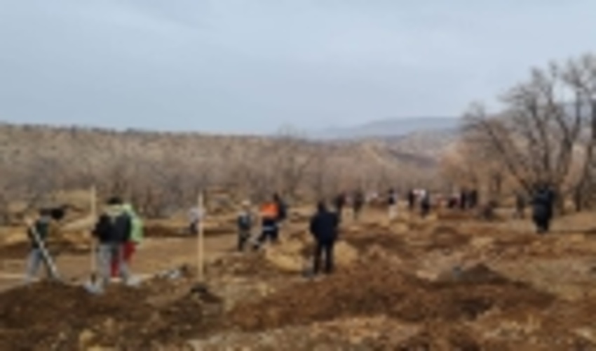 آغاز پویش نهالکاری در استان ایلام همزمان با سراسر کشور