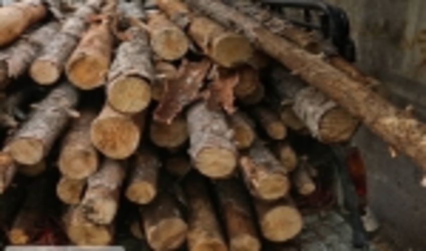 کشف ۶۸ متر مکعب چوب غیر مجاز در استان مرکزی 