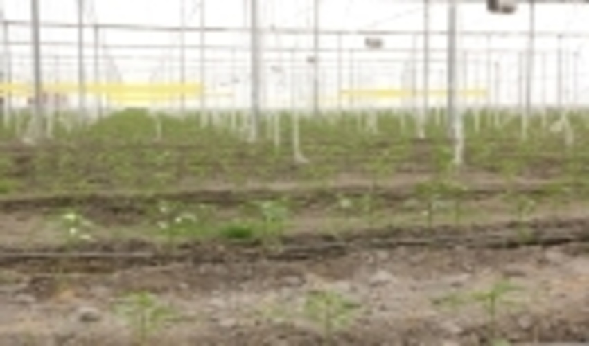 تخصیص ۴۶۷.۸هکتار از عرصه‌های ملی چهارمحال و بختیاری برای احداث مجتمع‌های کشاورزی