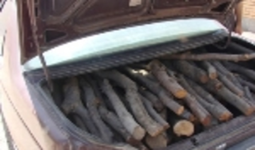 کشف چوب قاچاق در اصفهان