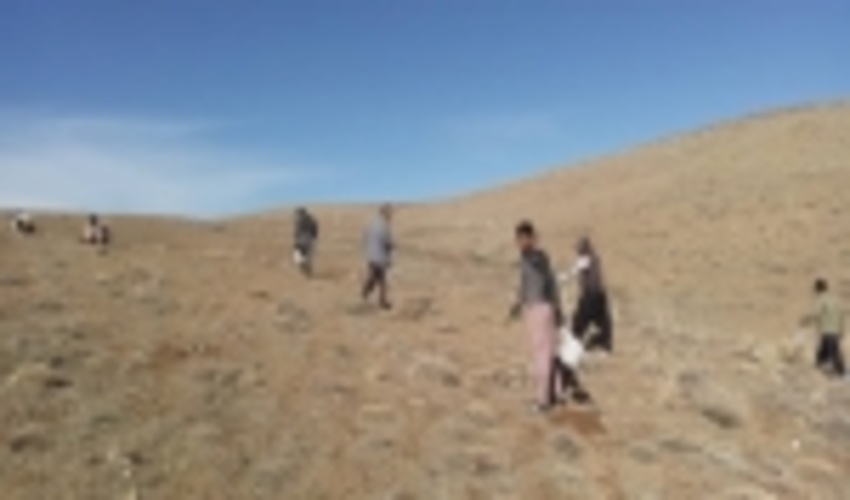 ۱۵ طرح مهم احیا واصلاحی مراتع در شهرستان‌های رزن و درگزین اجرا شد