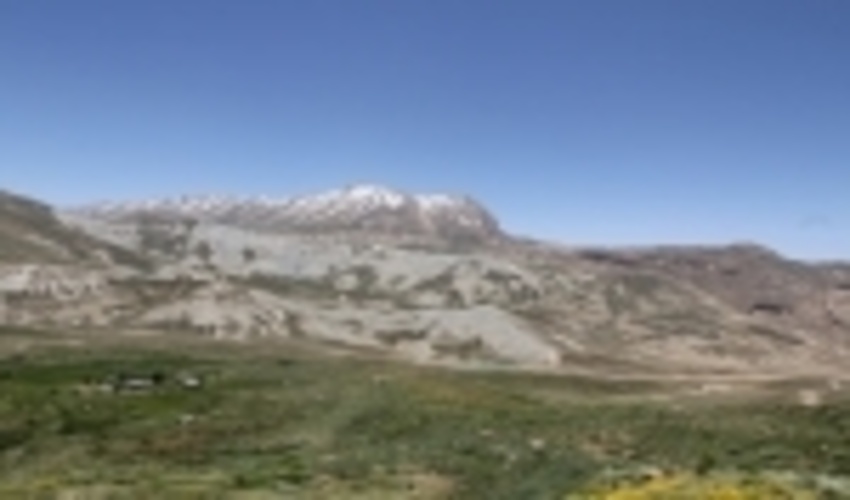 کاهش ۵۰ درصدی کشت گیاهان دارویی در مراتع چهارمحال و بختیاری بر اثر خشکسالی