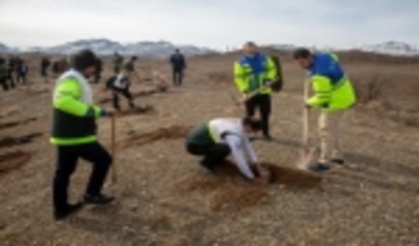 نهال‌کاری به مناسبت دهه فجر در قم