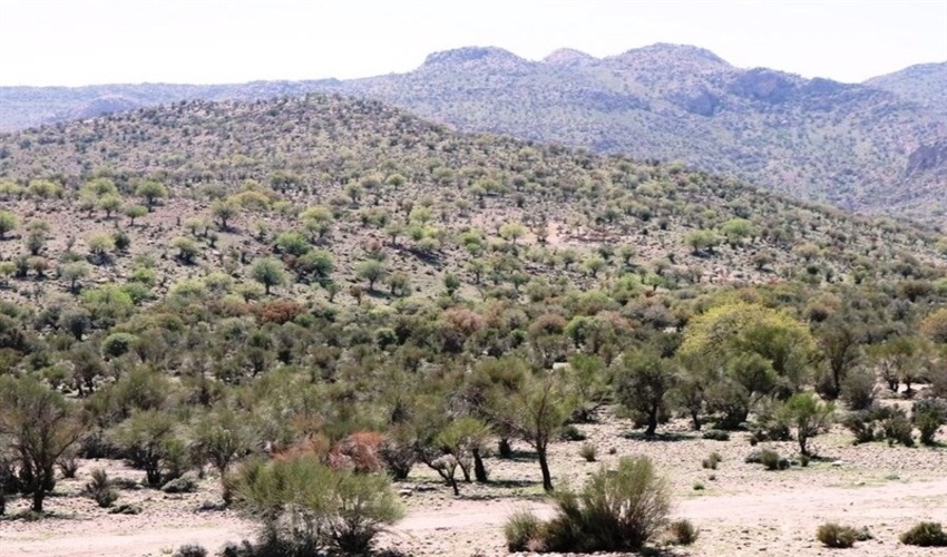 خلع ید 248 هکتار اراضی ملی استان کرمانشاه از متصرفان