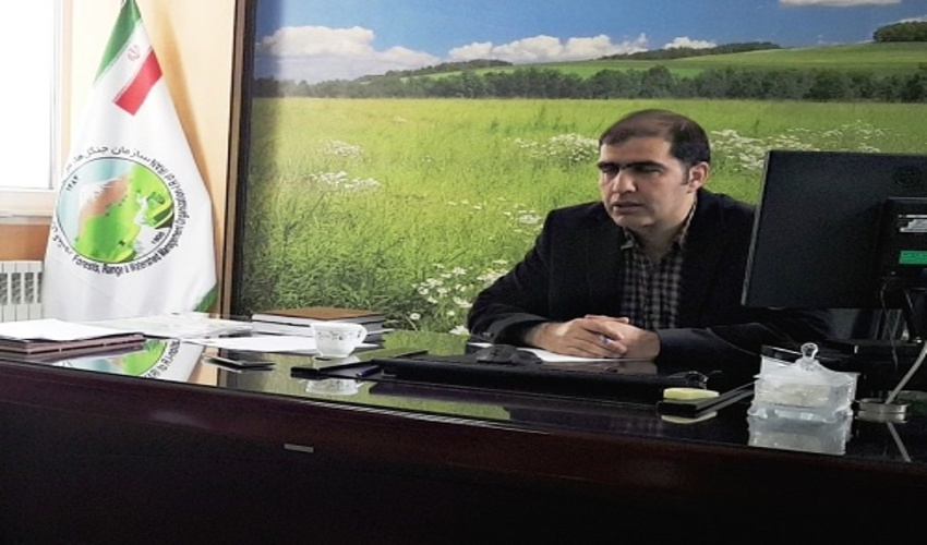 توزیع ۵۵۰ هزار اصله نهال به مناسبت روز درختکاری در زنجان