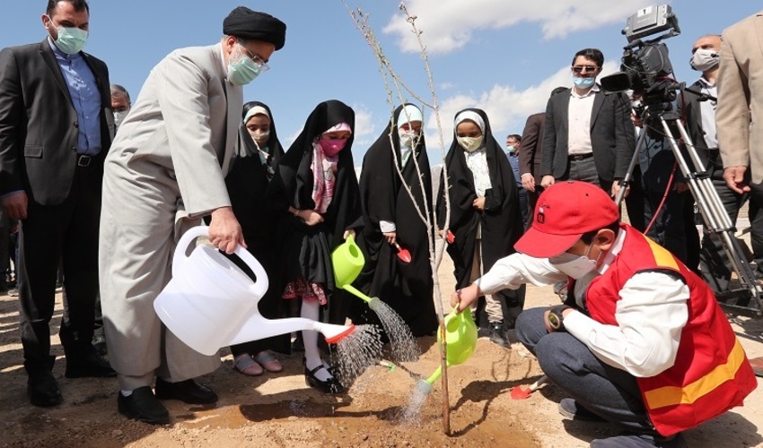 کاشت درخت توسط رئیس جمهور در روز درختکاری